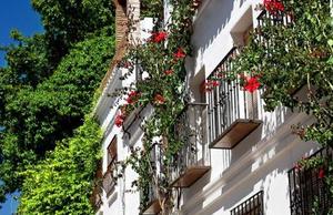 Apartamentos en el centro de Marbella