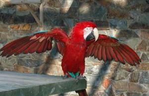 Selwo Aventura